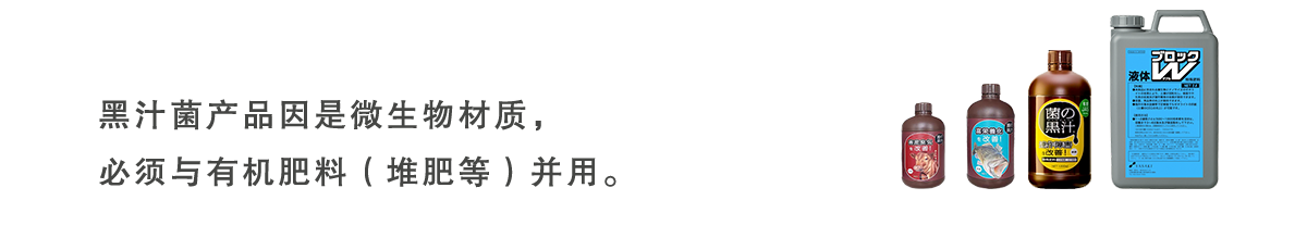 cp