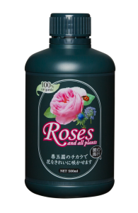 roses