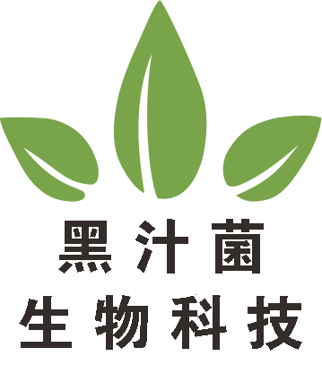 黑LOGO